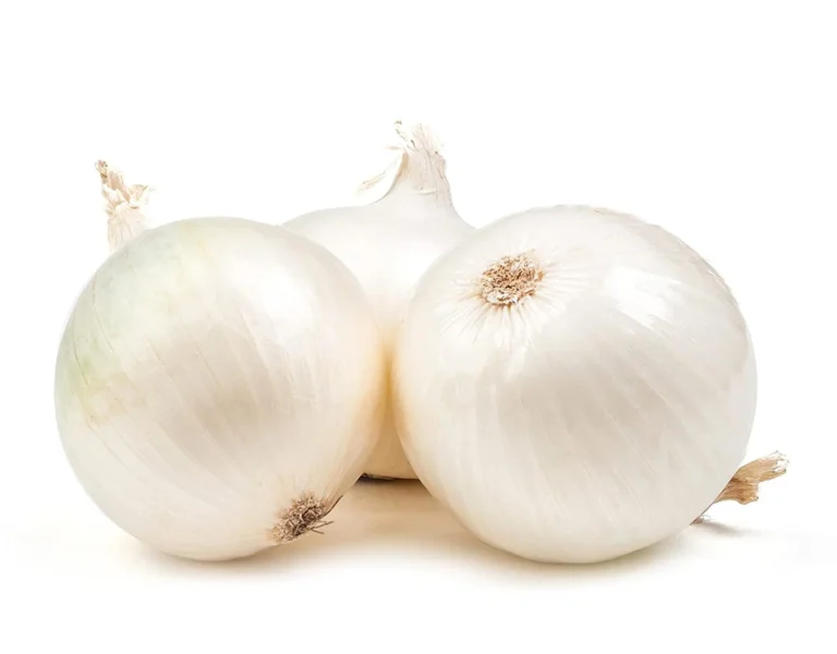 Onion White Variety
