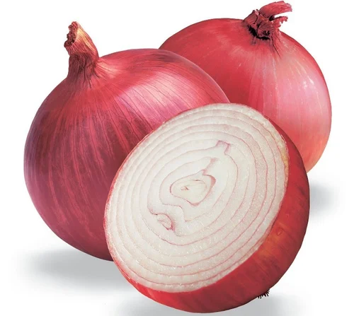 Onion red Variety