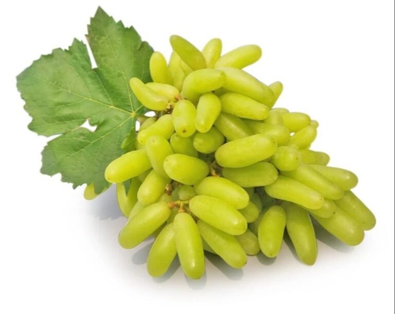 Sonaka Seedless