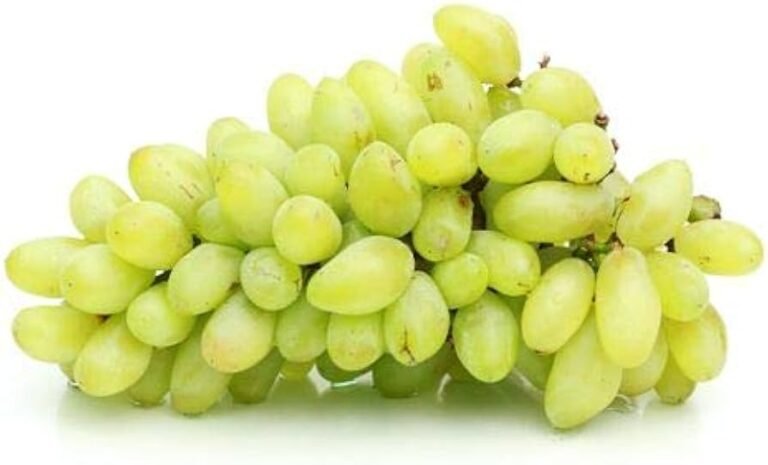 Super Sonaka R.K Seedless