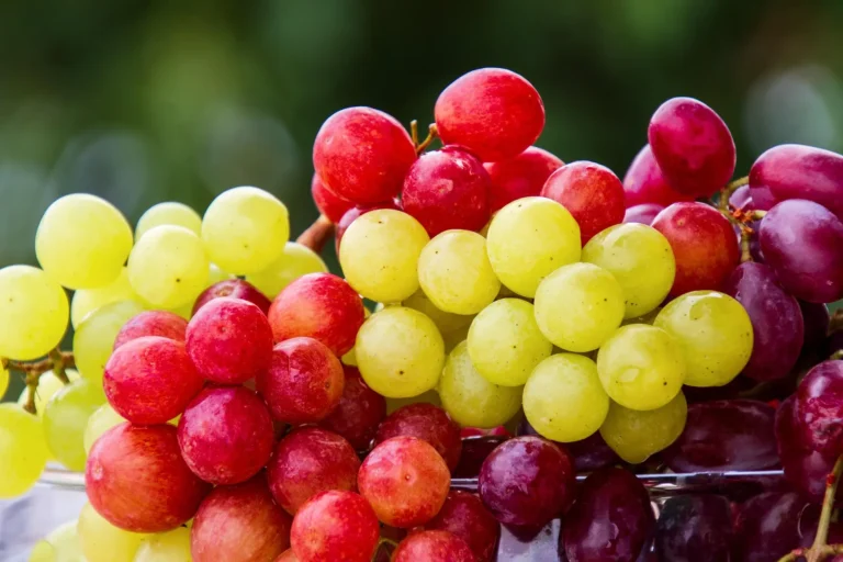 fruits hero export
