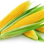 Sweet Corn