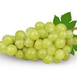 Thompson Seedless